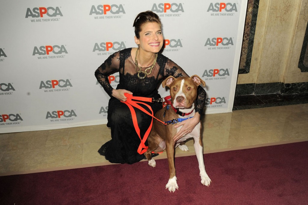 ASPCA Bergh Ball