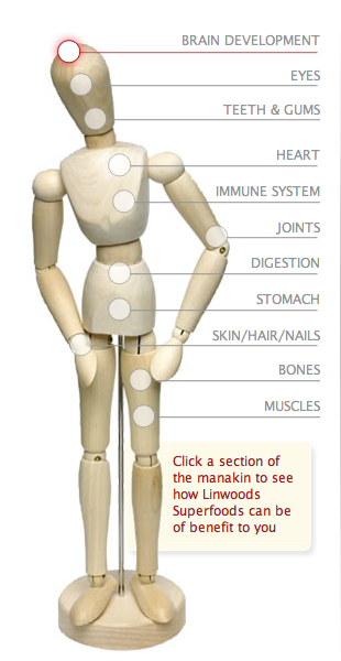 Screen Shot 2013-06-12 at 3.46.35 PM