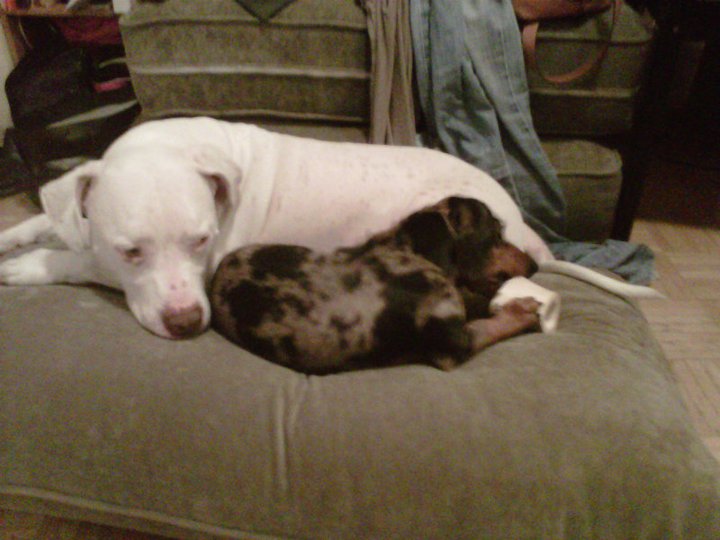 249327_2018758105162_7025507_n