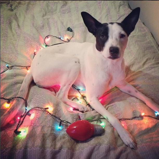 Screen Shot 2013-08-02 at 7.24.01 PM