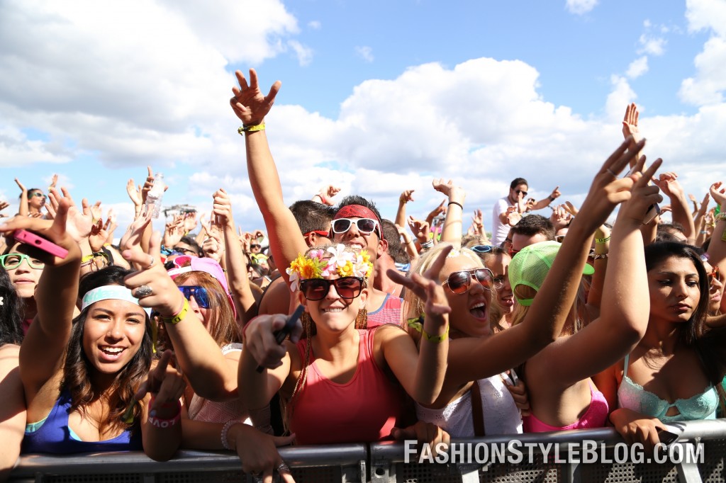 veldt music festival