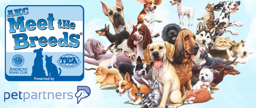 Screen Shot 2013-09-25 at 10.08.25 AM