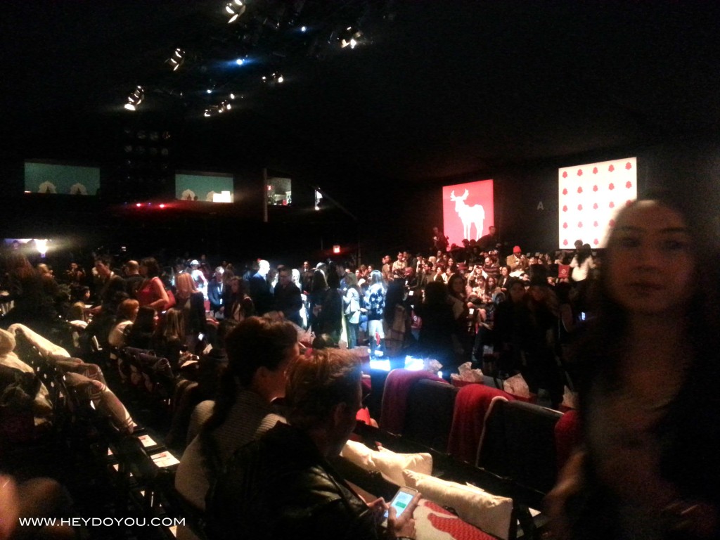 WORLD MASTERCARD FASHION WEEK 20131024_175306