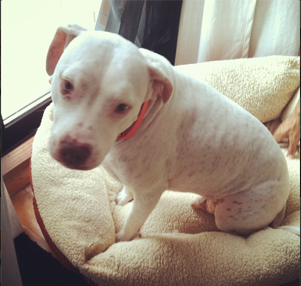 Screen Shot 2013-11-12 at 2.40.33 PM