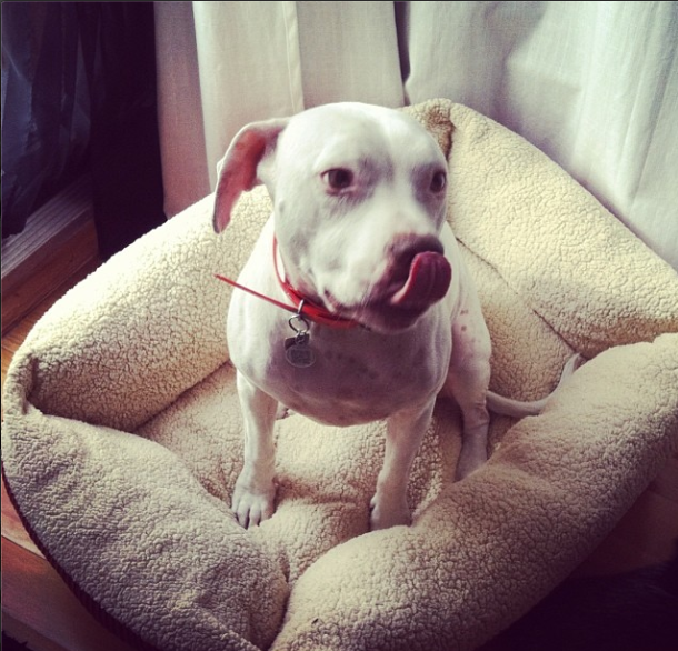 Screen Shot 2013-11-12 at 2.40.40 PM