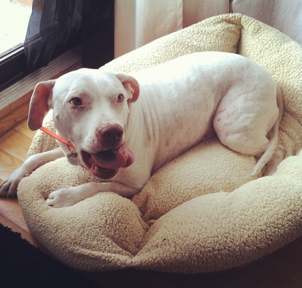 Screen Shot 2013-11-12 at 2.40.47 PM