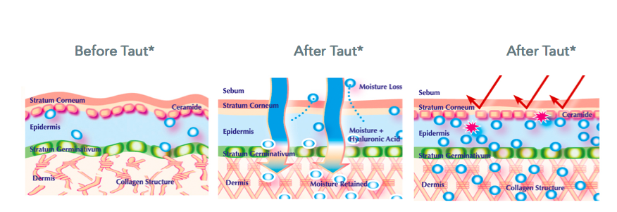 Screen Shot 2013-12-21 at 5.19.57 PM