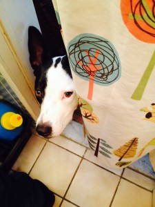 Pocky wanted to help, but this guide is for gentlemen.  Sorry, lady!