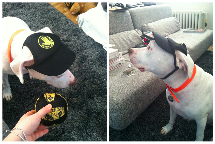 Screen Shot 2014-02-27 at 4.39.47 PM