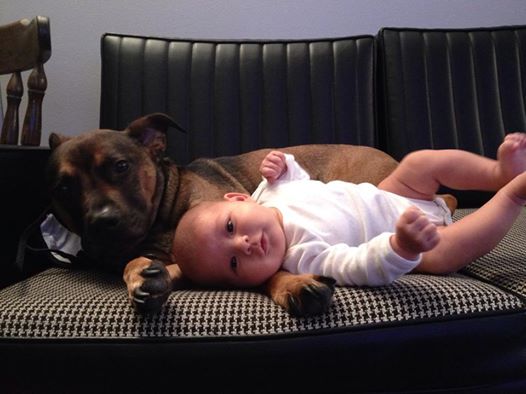 1975072_10100272613567428_952994614_n