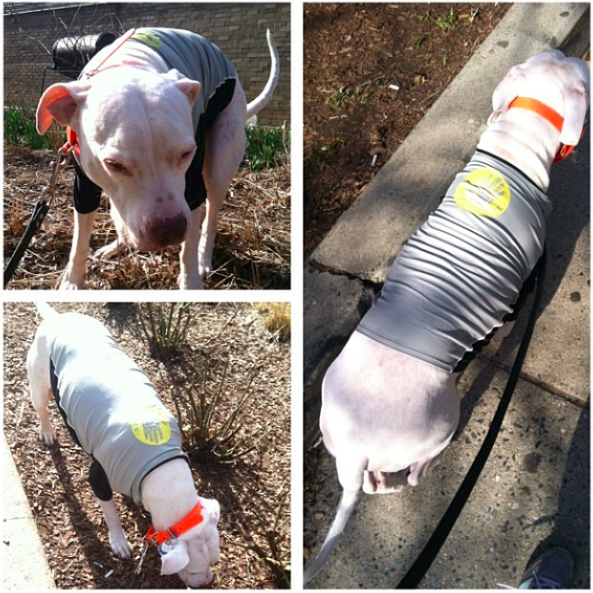 Screen Shot 2014-03-26 at 7.34.27 PM