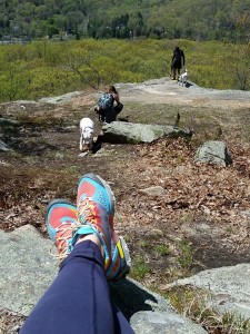 10277851_10203408382426829_4855946685819150743_n