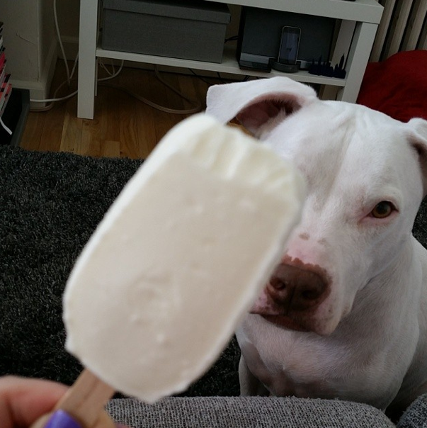 Screen Shot 2014-05-19 at 9.51.07 AM