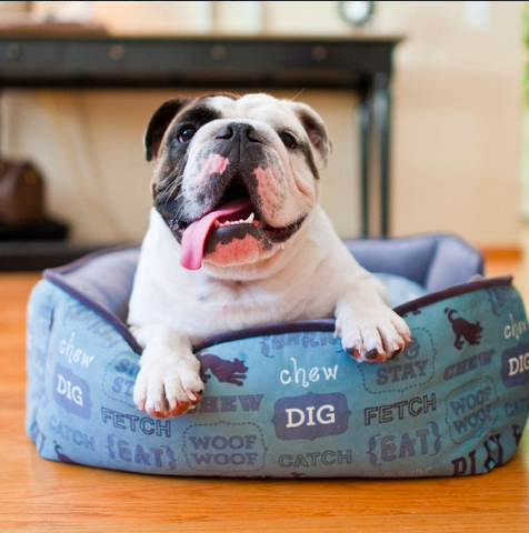 Screen Shot 2014-10-12 at 3.47.46 PM