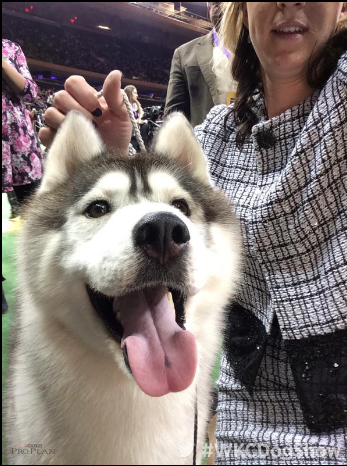 Screen Shot 2015-02-21 at 4.12.24 PM