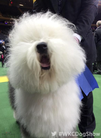 Screen Shot 2015-02-21 at 4.12.51 PM