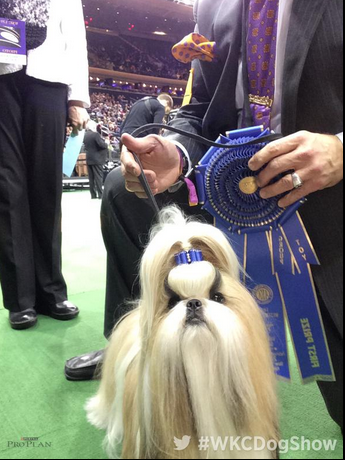 Screen Shot 2015-02-21 at 4.13.00 PM