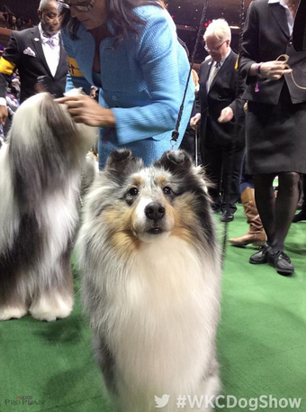 Screen Shot 2015-02-21 at 4.13.07 PM