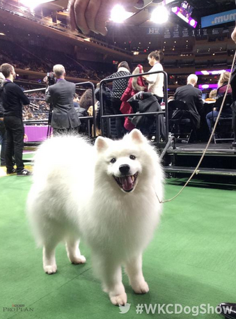 Screen Shot 2015-02-21 at 4.13.35 PM