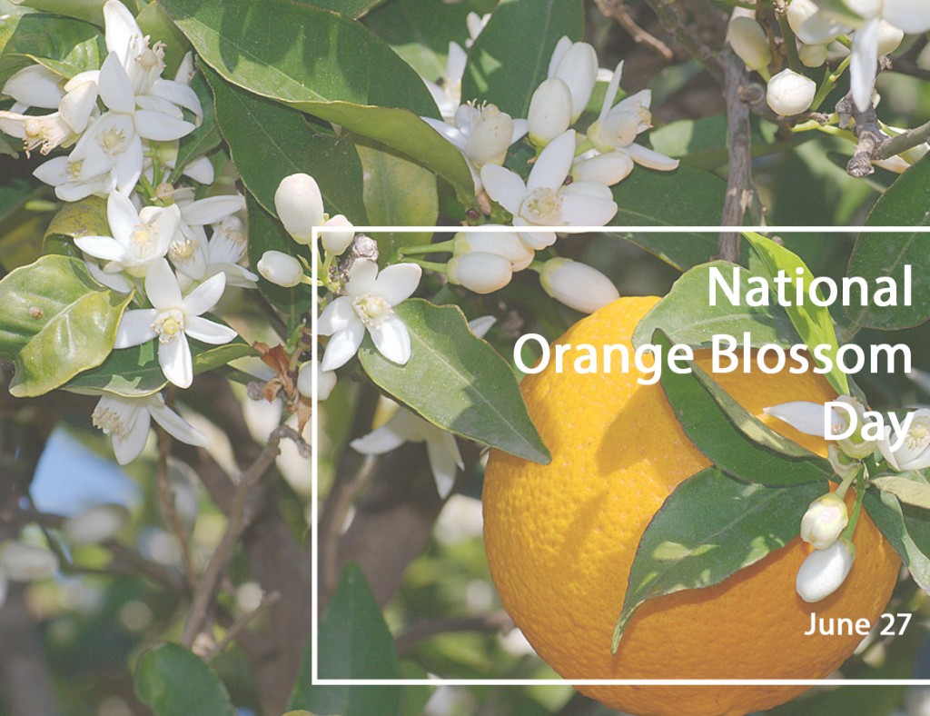 orange blossom day