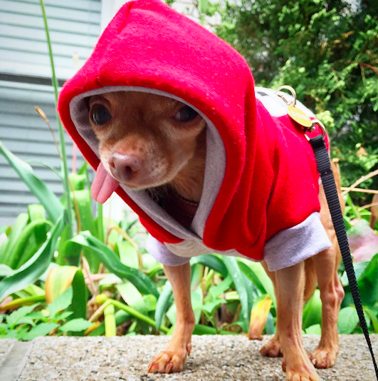 Screen Shot 2015-09-11 at 9.22.19 PM