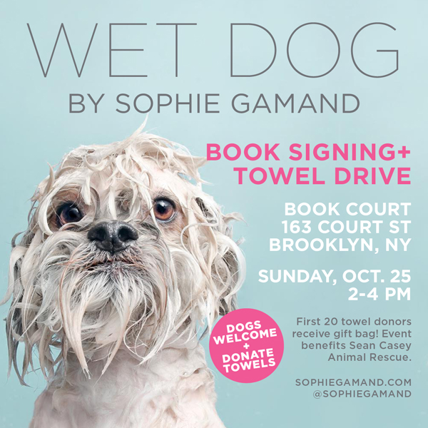 SophieGamand_TowelDriveFlyer_PR4