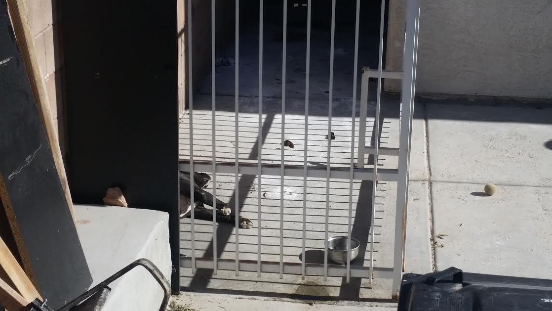 10d24dbc-3216-41ef-91f8-c26d09546559