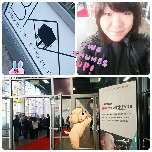 12063018_1489962511305041_490734942_n