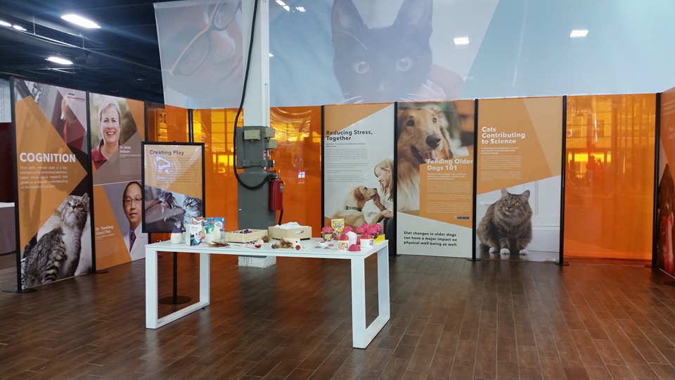 12188986_10153056068255672_7861841174532844117_n