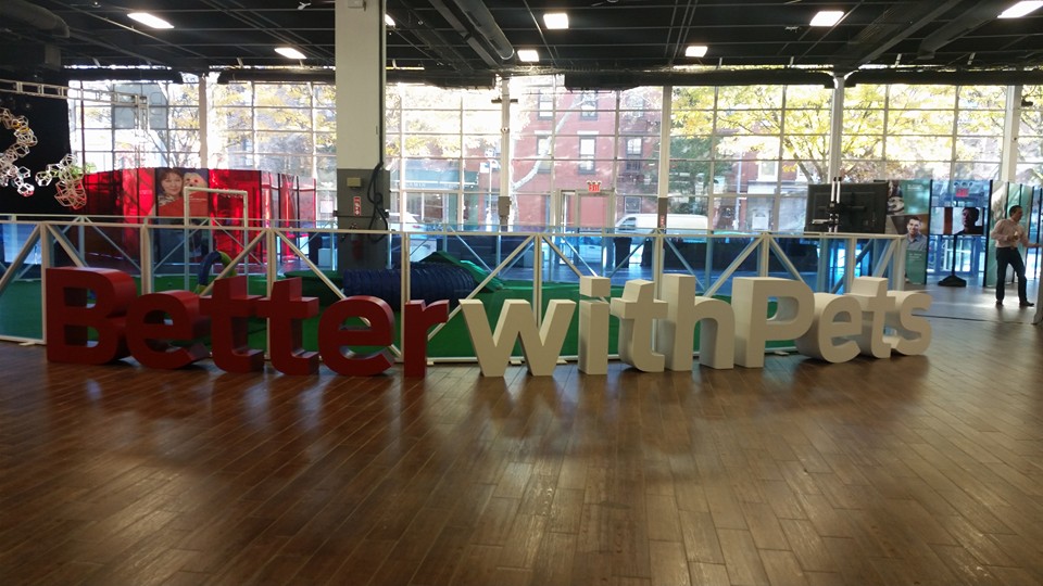 12193708_10153056068155672_1560435118526511764_n