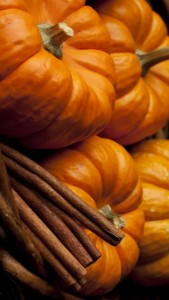 _86416073_pumpkinsab