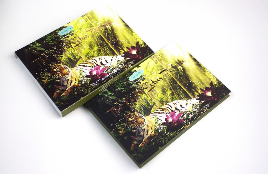 the exotic lotus palette-velvet59-brenzzvlog3